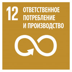 Responsible consumption and production - Goal 12